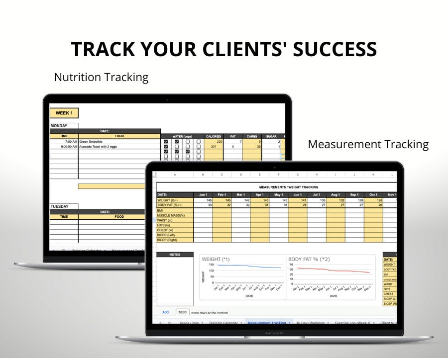 Personal Trainer Program Template for Personal Digital Training Programs / BUNDLE / Exercise Logs / Client Tracking / Google Sheets Template