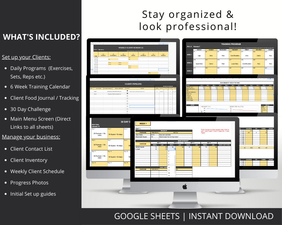 Personal Trainer Program Template for Personal Digital Training Programs / BUNDLE / Exercise Logs / Client Tracking / Google Sheets Template